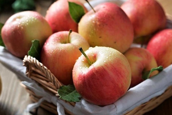 تصویر 2 از خرید و قیمت سیب ریز ترش + فروش صادراتی